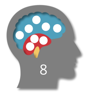 storytelling-hirnregionen-aktiv-geschichten Aktive Hirnregionen, wenn wir Geschichten hören.