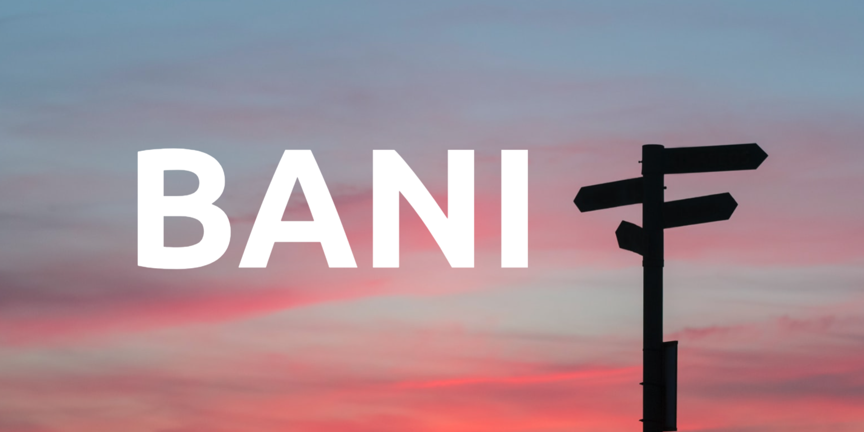 was-bedeutet-bani-vuca